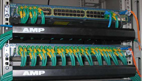 ������չʾ